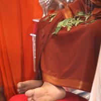 20170910_Photo_1103_IMG_8537_CMP_WM